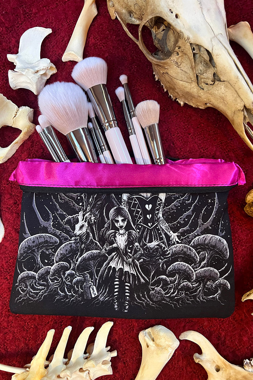 alice in wonderland pencil bag