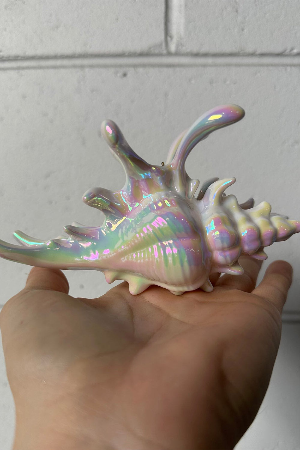 sirencore conch shell shaped hair claw 