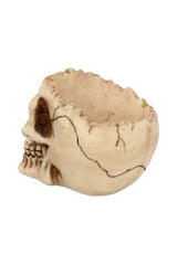 pirate skull bowl