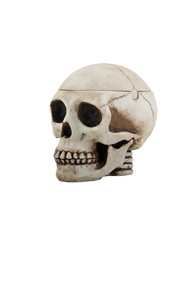 Skull Box Ashtray