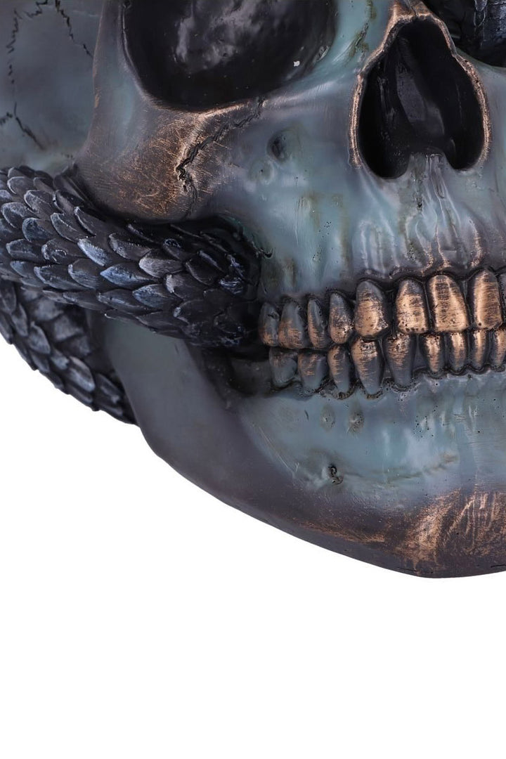 heavy metal skull decor