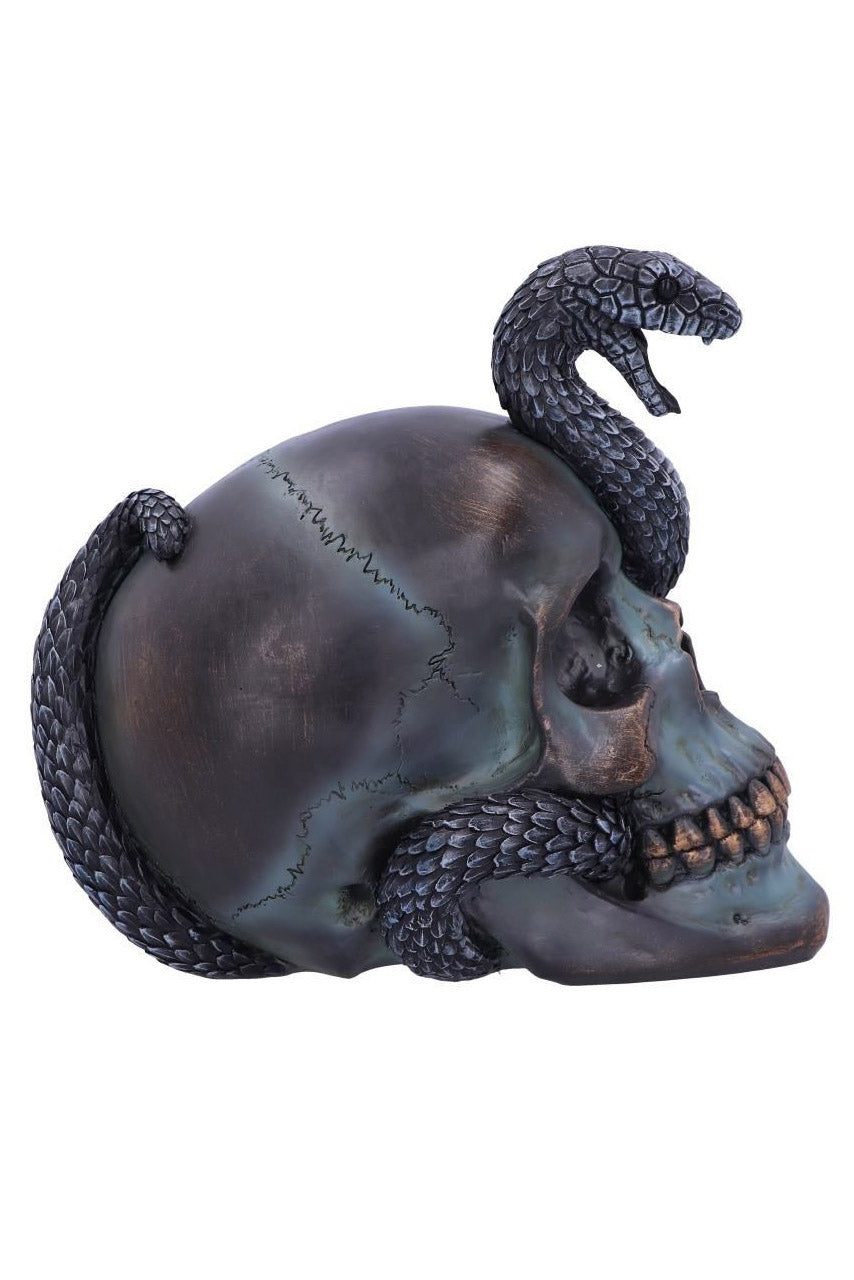 snake and skull statue