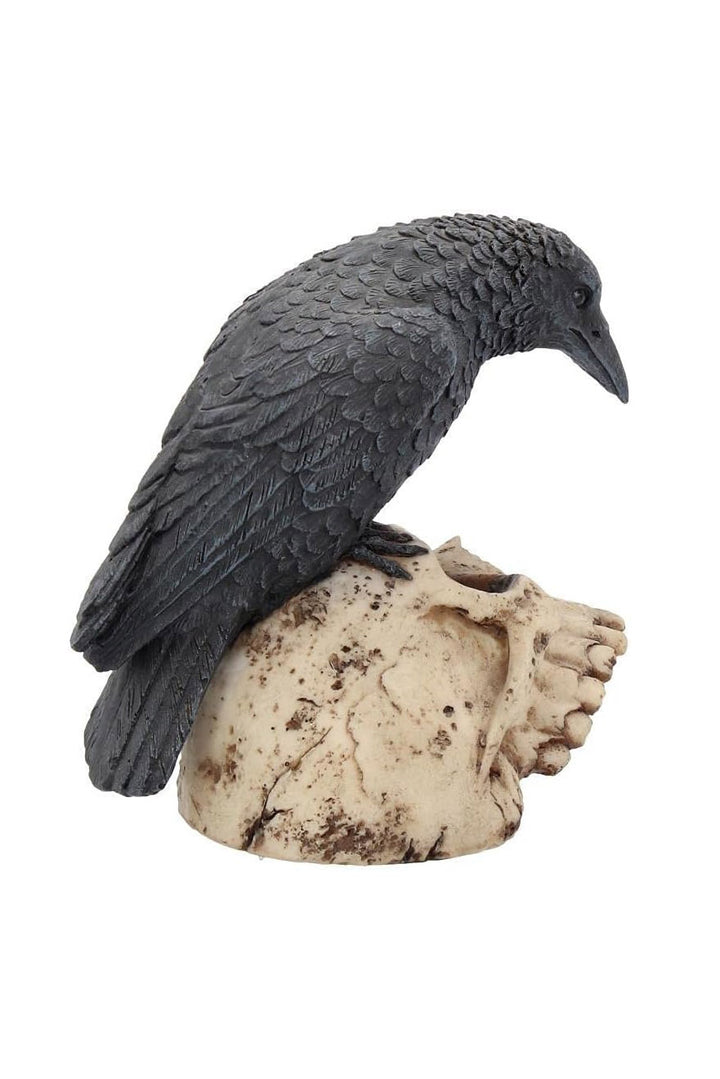 distressed  skull and black gothic raven statue