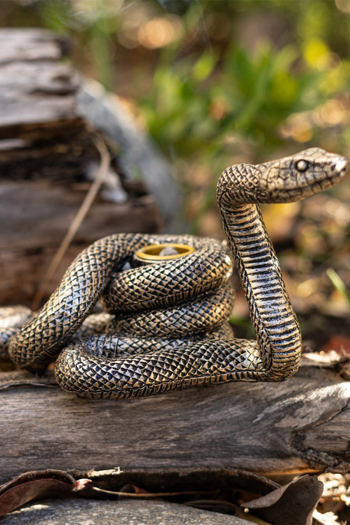 occult snake housewares by pacific giftware 
