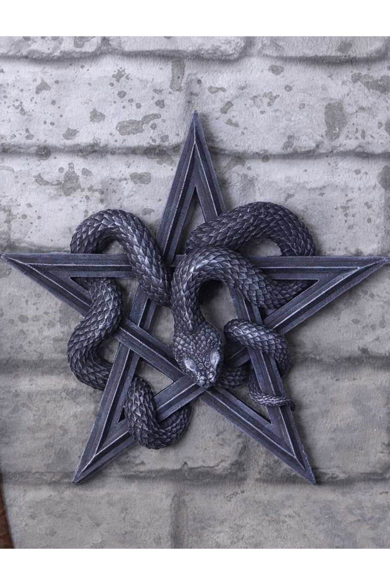 spooky snake and star wall mount