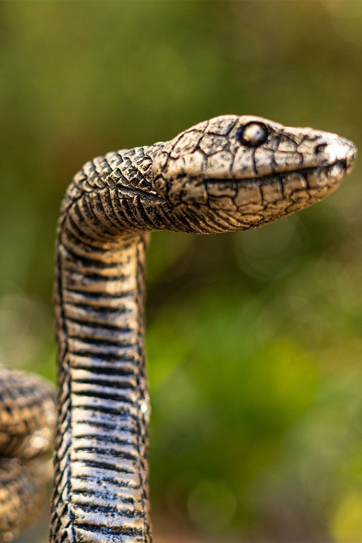snake housewares by pacific giftware 