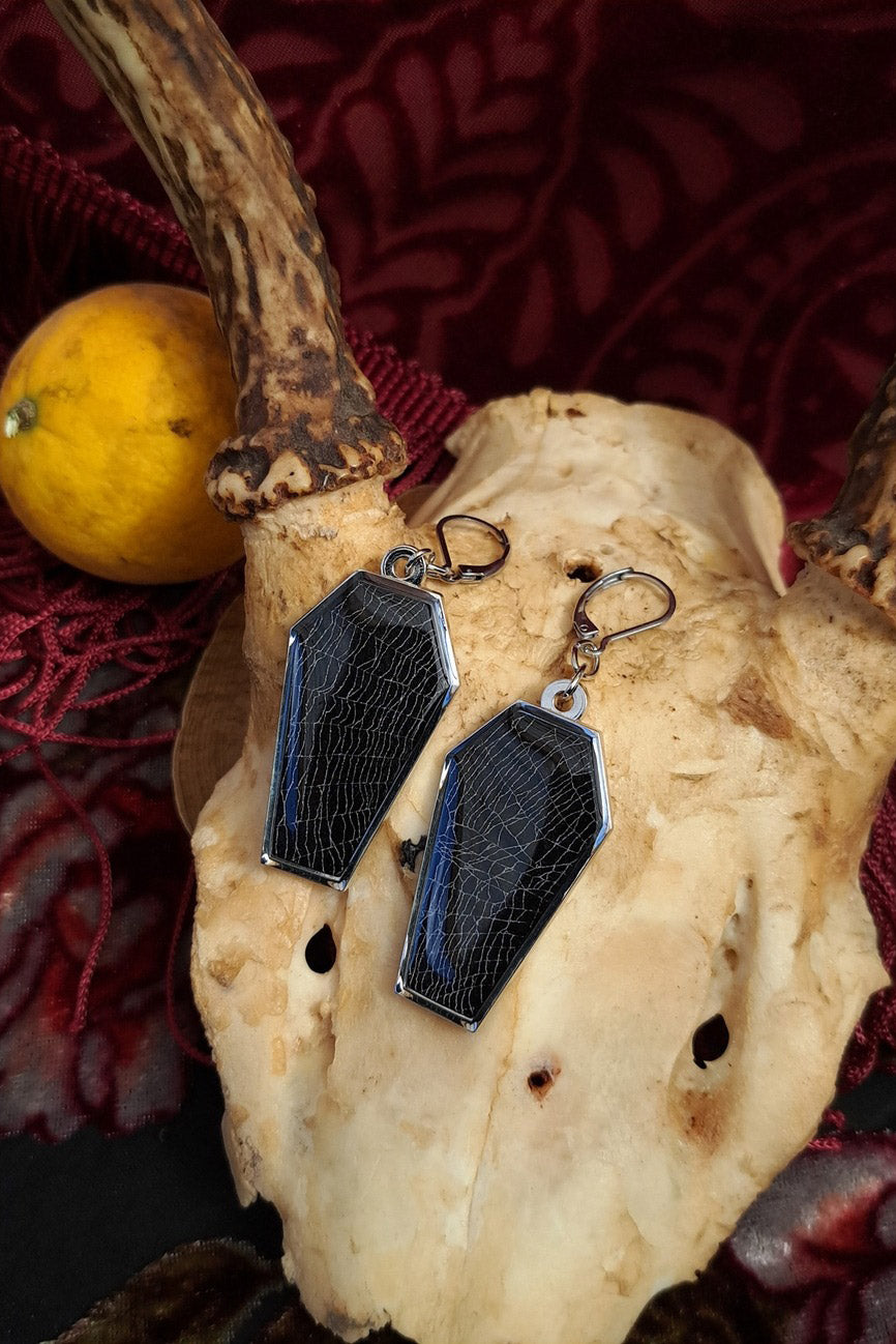 coffin-shaped taxidermy earrings