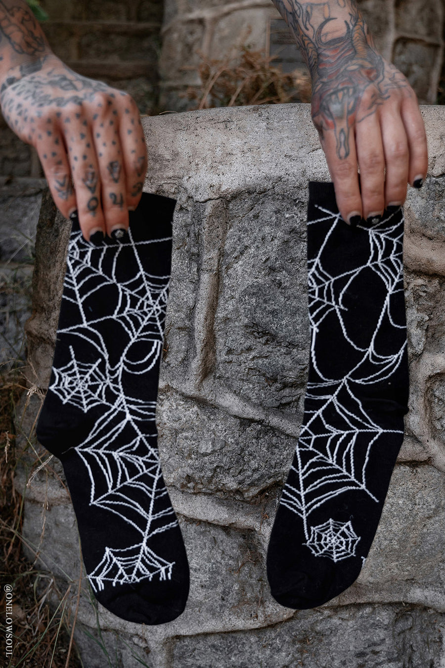 creepy spiderweb halloween socks