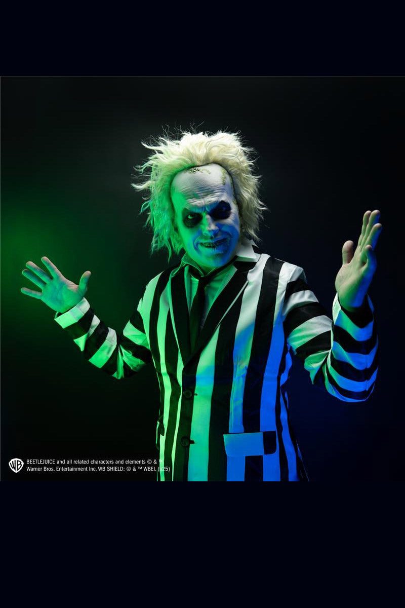 officially licensed tim burton beetlejuice  mask