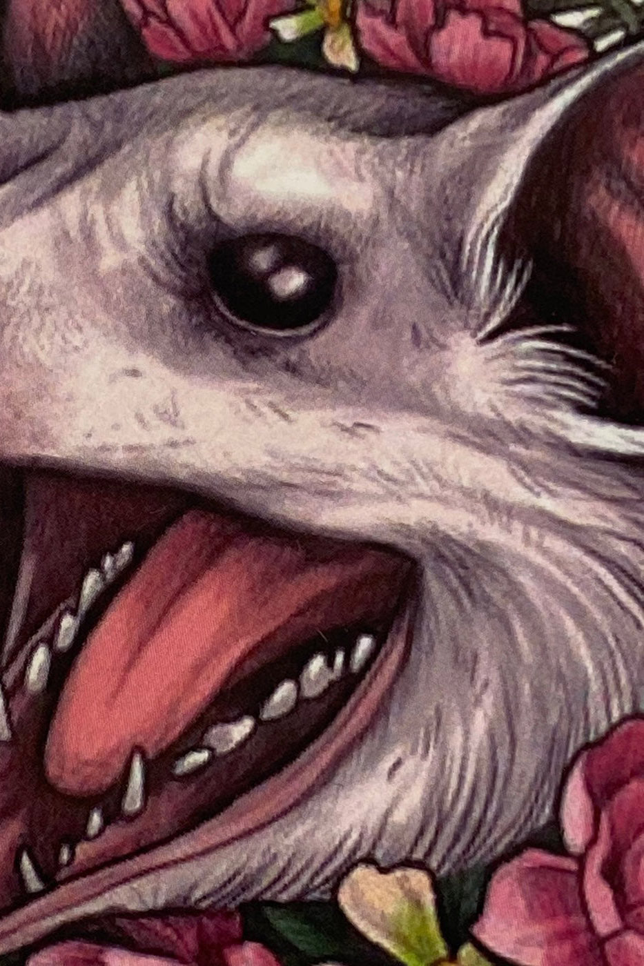 oddities screaming possum sticker 