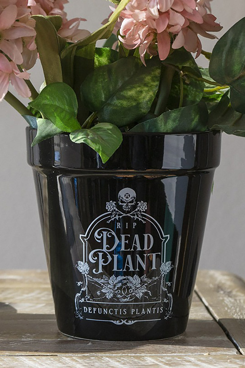 Dead Plant Garden Planter
