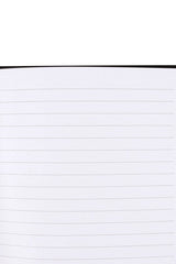 gothic vampire diary with lined paper