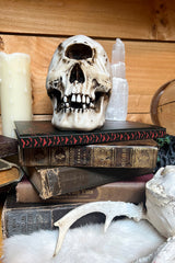 Vampir-Tagebuch 