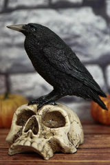 Black crow perched on a skull  statue against a white background by pacific giftware