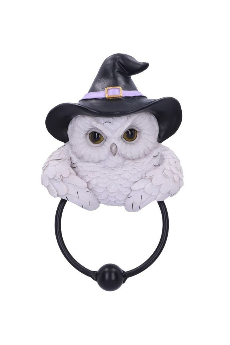 owl door knocker