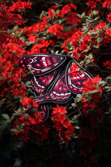 Moth backpack with deep red tones with muted gold and bright luminous accents