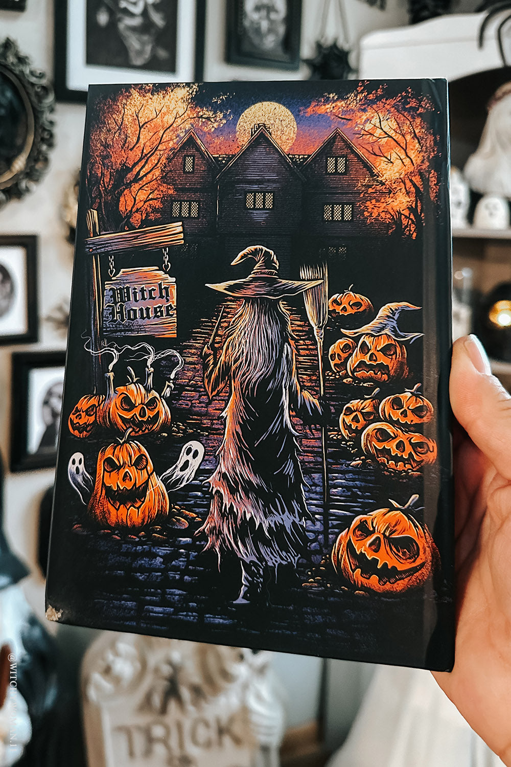 halloween witch salem diary 