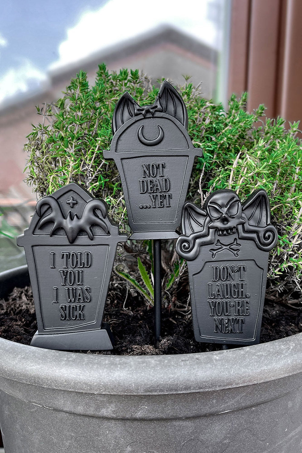 Three black tombstone-shaped garden stakes with humorous sayings in a pot.