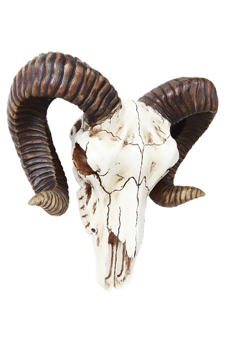 Ram Skull