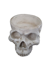 Skull Planter