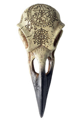 Omega Raven Skull