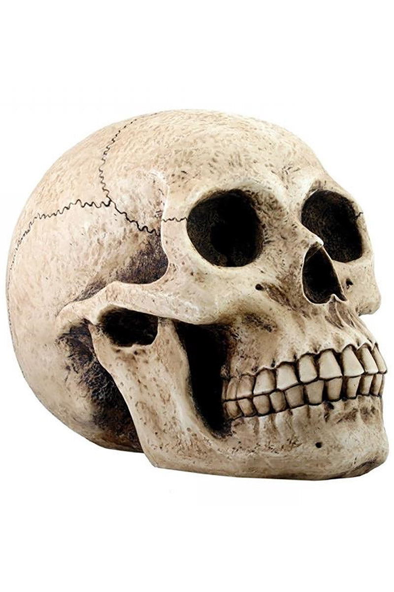 Skull Money Bank