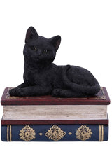 Salem Spells Black Cat Trinket Box
