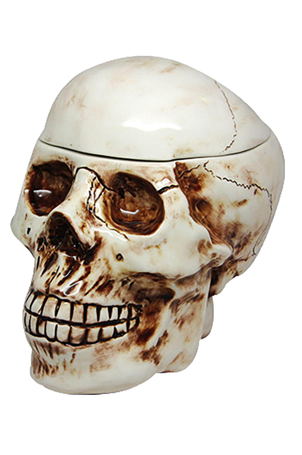 Skull Cookie Jar