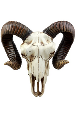 Ram Skull