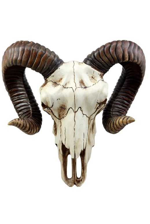 ram skull front