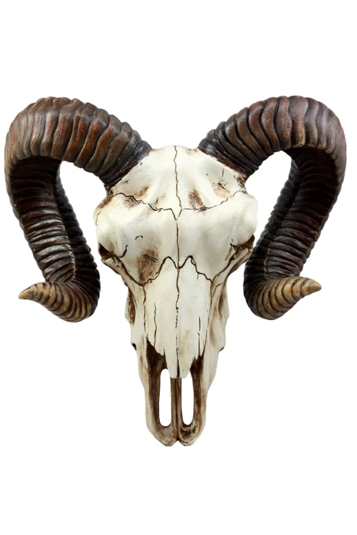 Ram Skull