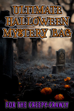 Ultimate Halloween Mystery Bag