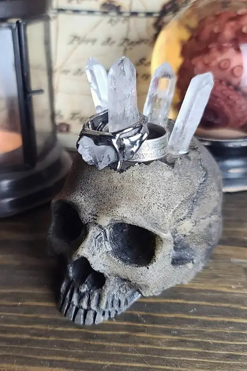 Realistic Skull Ring Holder [BONE]