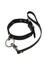 Führen Sie den Weg, Papa-Halsband