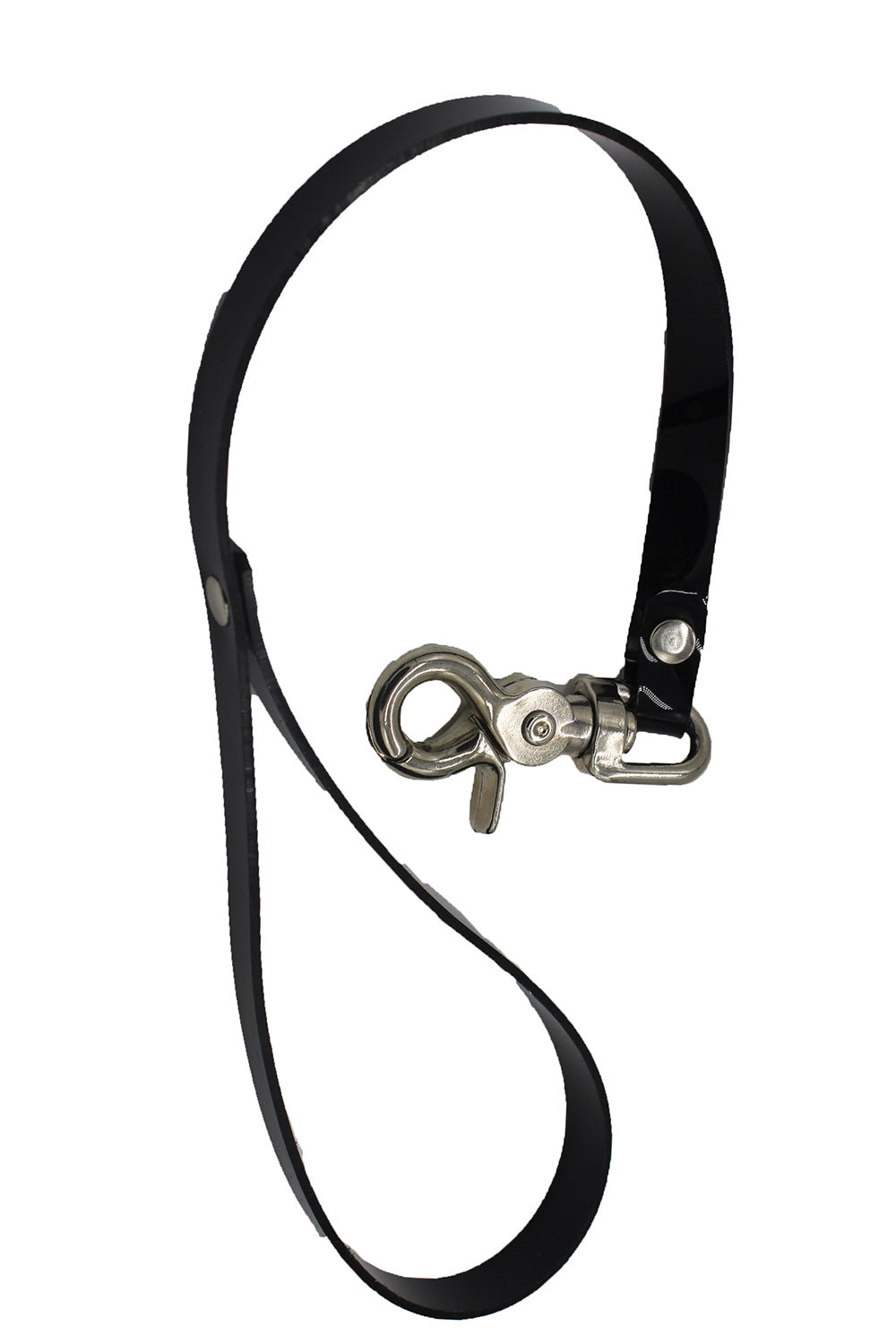 Teach Me Collar and Leash