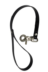 Teach Me Collar and Leash