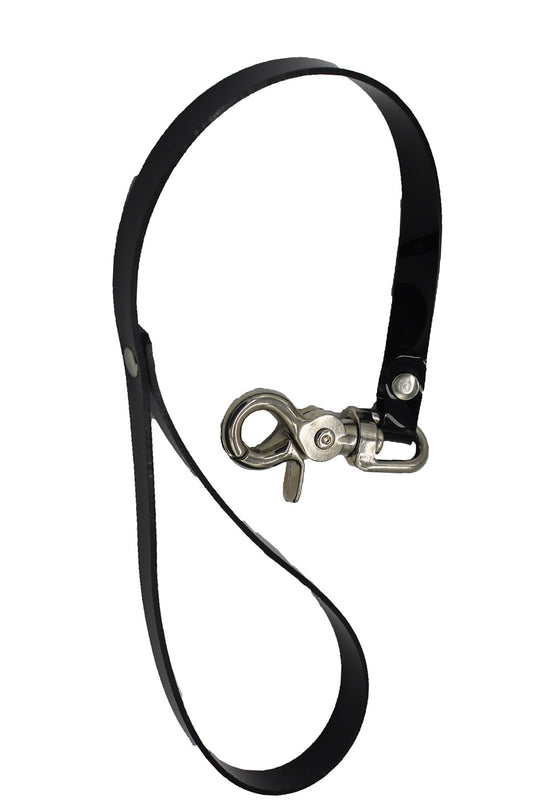 Teach Me Collar And Leash – Vampirefreaks