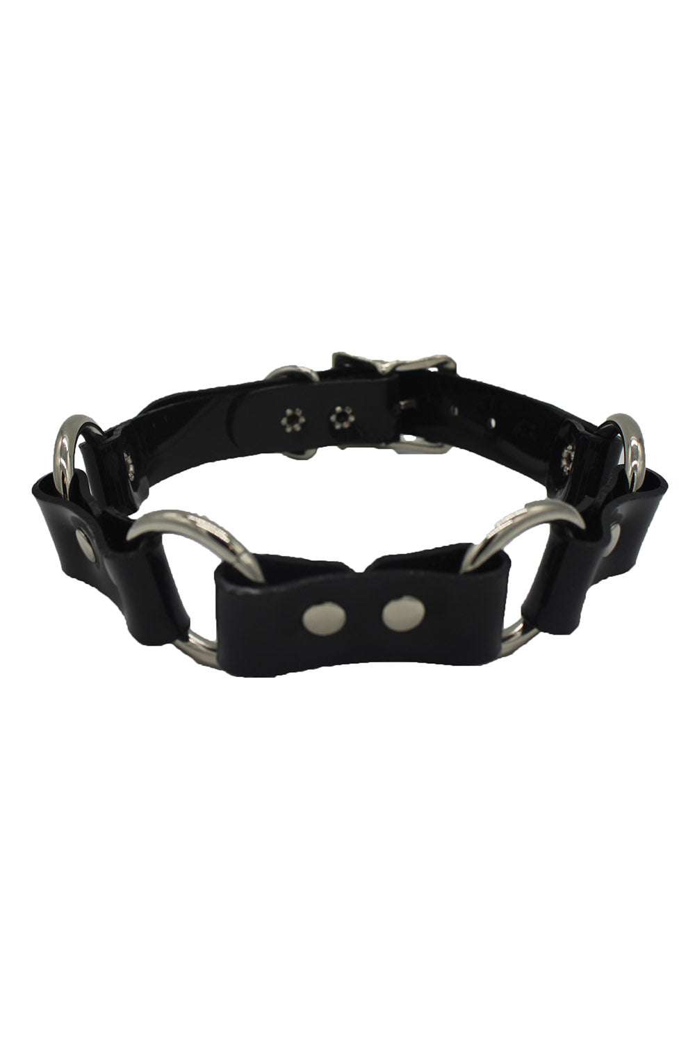 Teach Me Collar and Leash