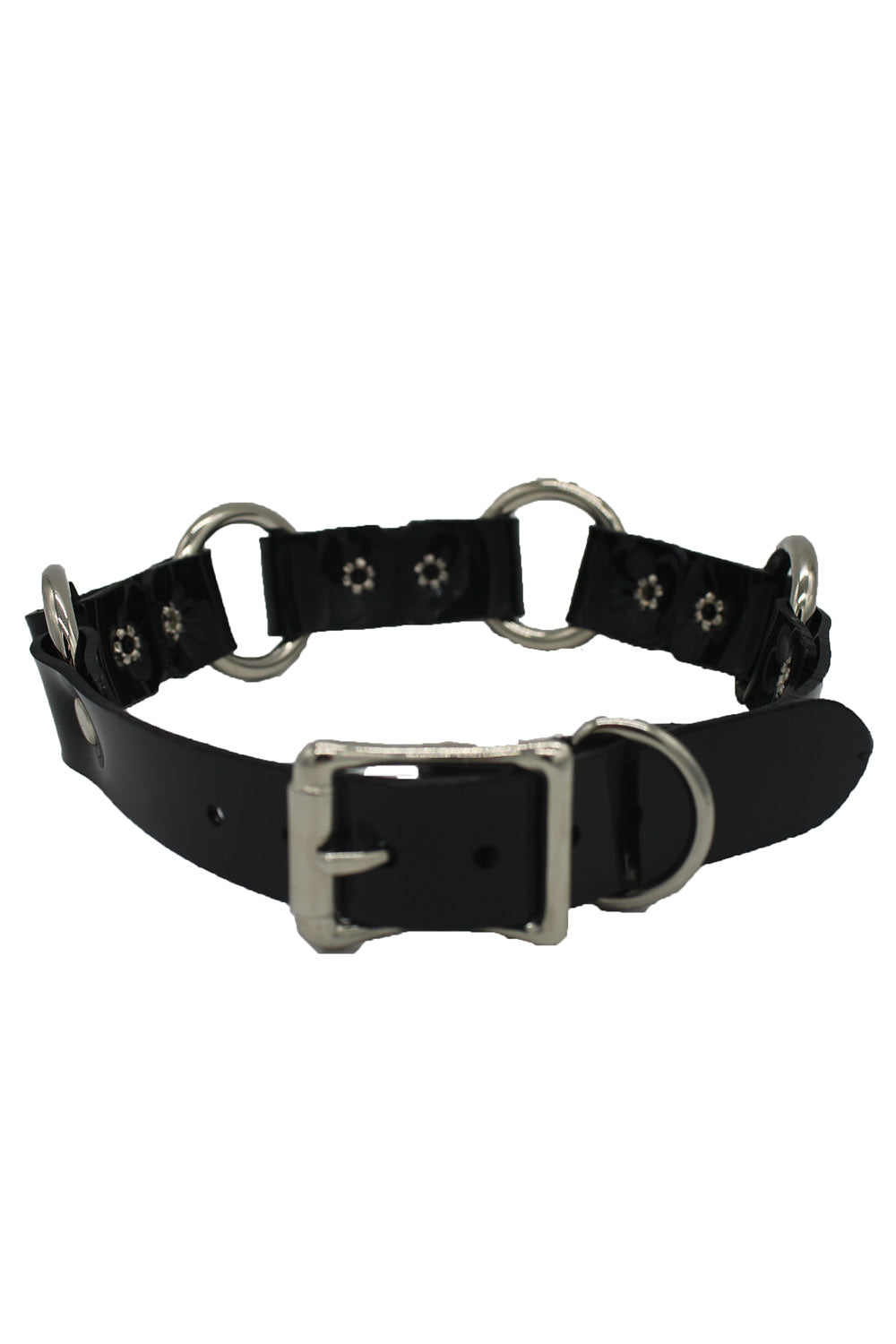Teach Me Collar and Leash