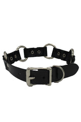Teach Me Collar and Leash
