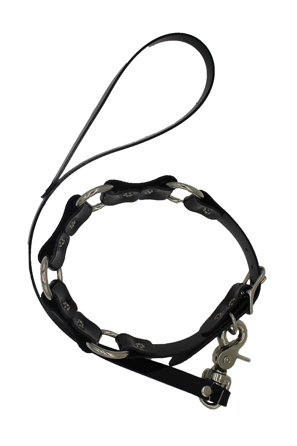 Teach Me Collar and Leash
