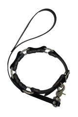 Teach Me Collar and Leash