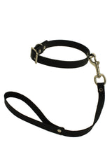 Slave to Love Leash + Collar