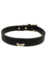 Slave to Love Leash + Collar