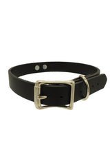 Slave to Love Leash + Collar