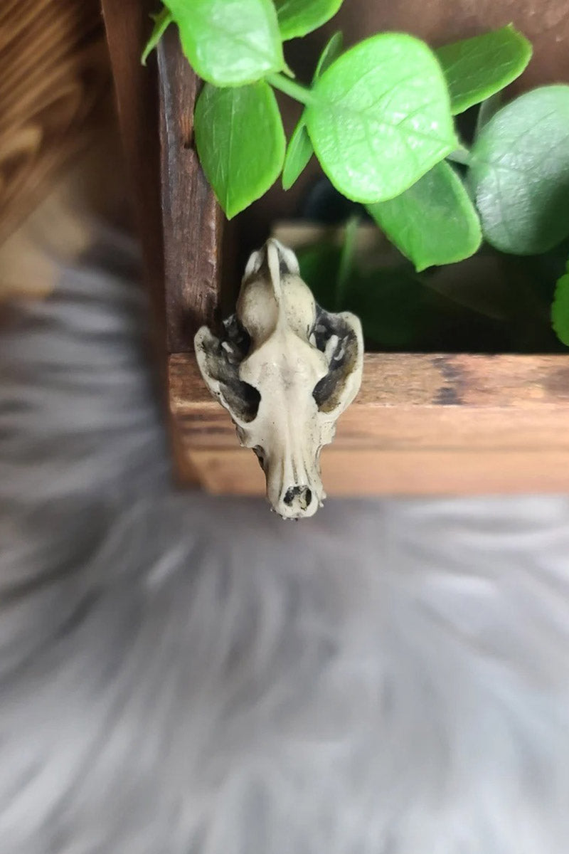 Wolf Skull Magnet