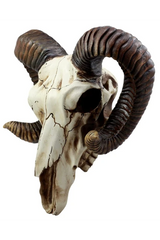 Ram Skull