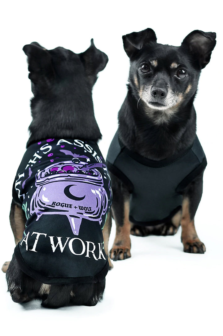 Witch's Assistant at Work Pet Vest [Dog or Cat]