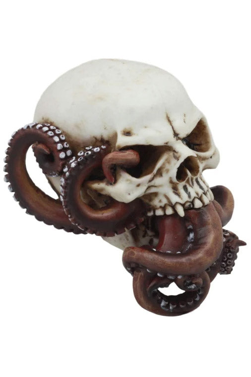 Octopus Skull
