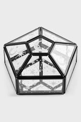 Caja de cristal con luz de estrellas